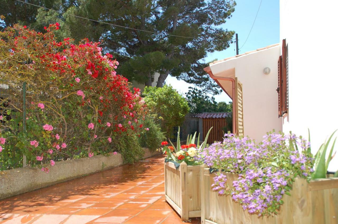 Lucia House Holiday home *